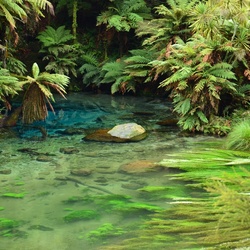 2017-03 New Zealand/Blue Spring/DSC_0035.JPG